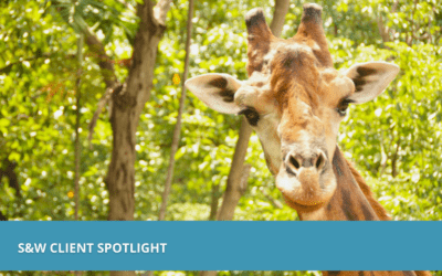 Toledo Zoo Spotlight