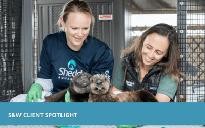 Shedd Aquarium Spotlight