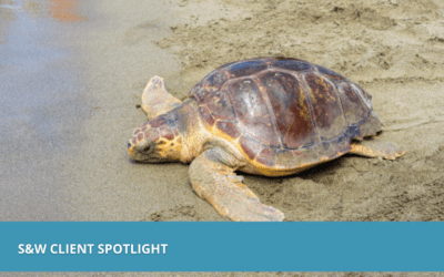 New England Aquarium Spotlight