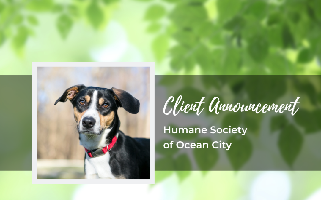 Humane Society of Ocean City