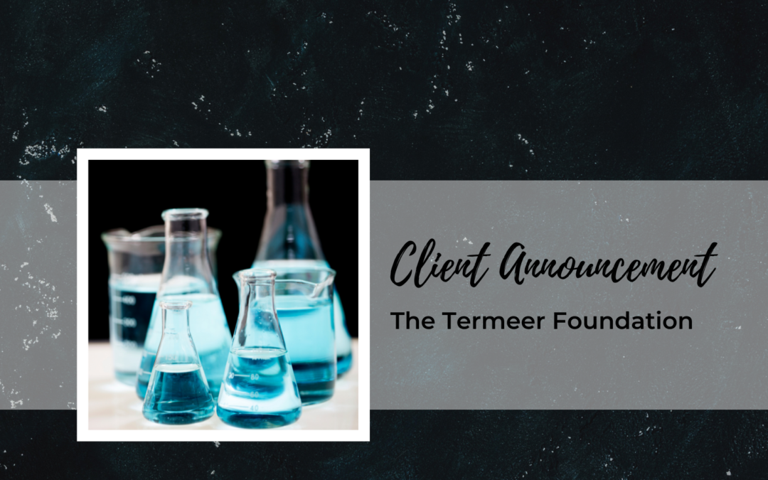 The Termeer Foundation