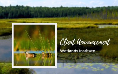 Wetlands Institute