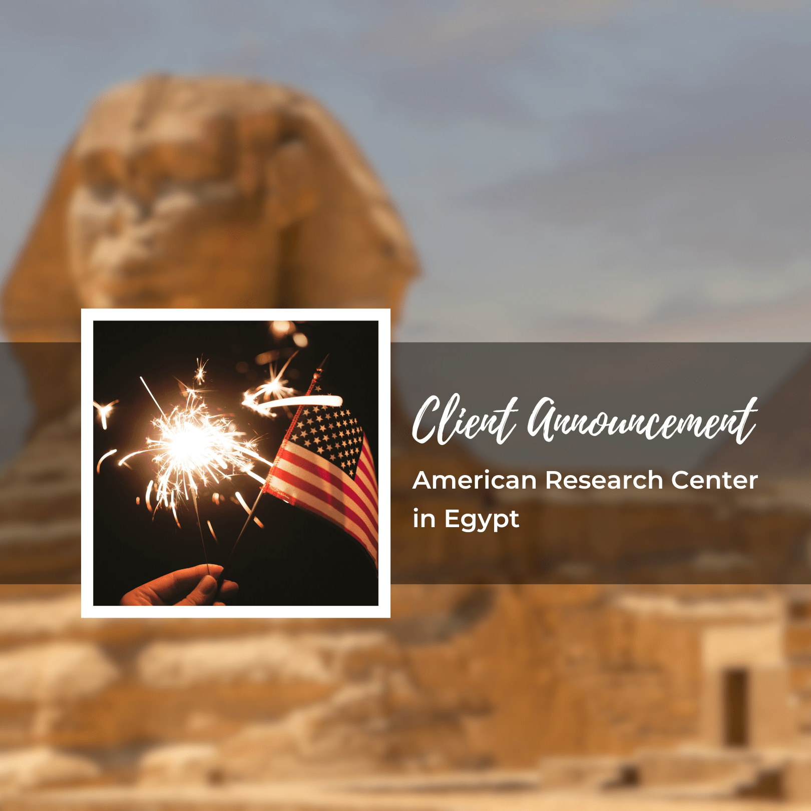 American Research Center in Egypt - Schultz & Williams