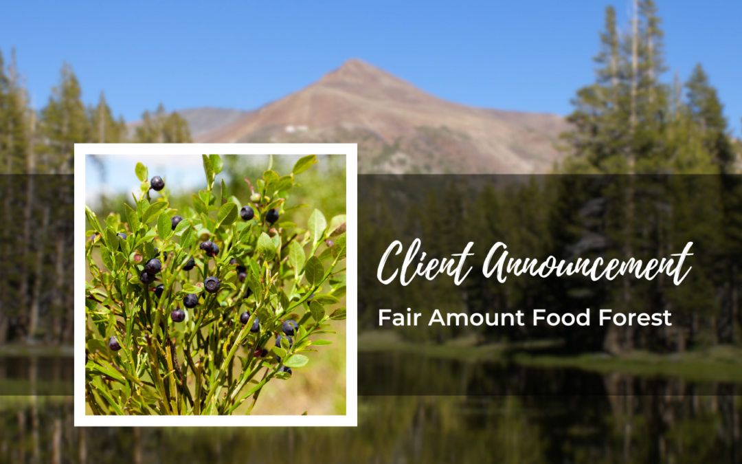 Fair Amount Food Forest