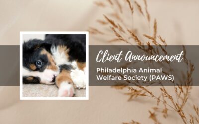 Philadelphia Animal Welfare Society (PAWS)