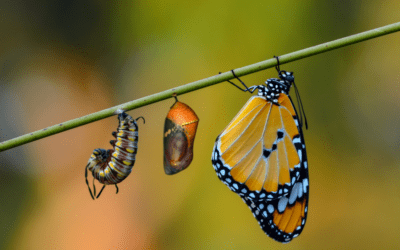 Planning for a Changing Future