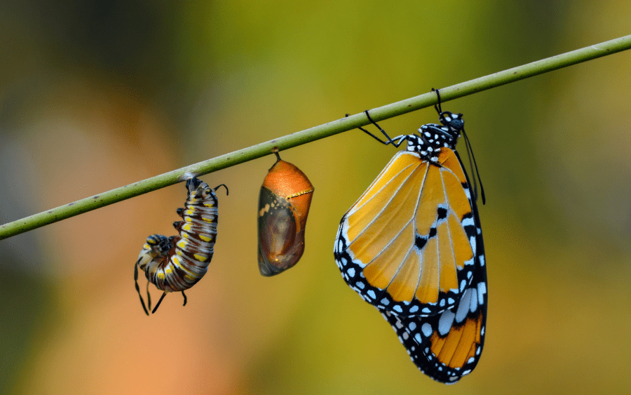 Planning for a Changing Future
