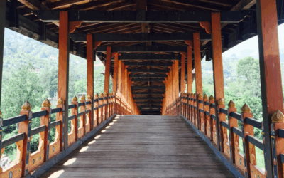 Bridging Insight and Impact