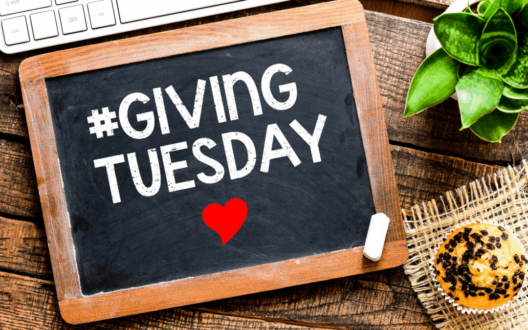 Giving Tuesday 2025: First Results, First Impressions