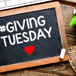Giving Tuesday 2025: First Results, First Impressions