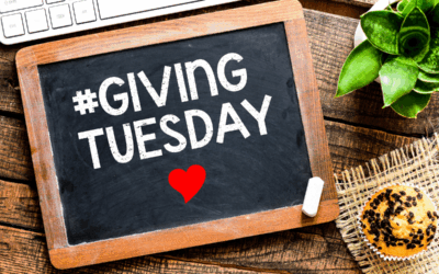Giving Tuesday 2025: First Results, First Impressions