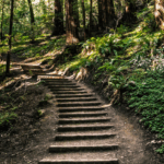 Leadership Priorities of High-Performing Organizations