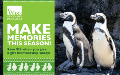 When Postcards Deliver (and When They Don’t)