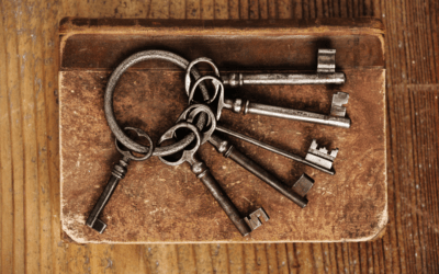 Bringing Your Membership Experience to Life